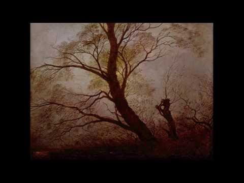 J.W. von Goethe ~ Willkommen und Abschied