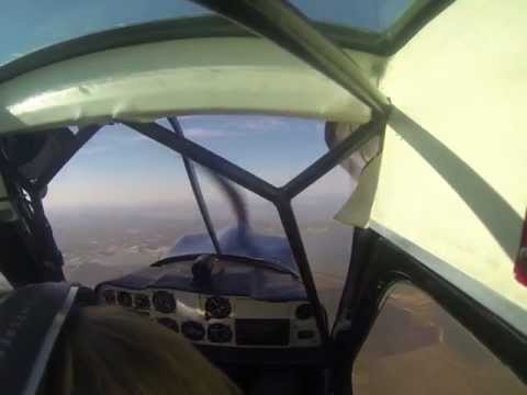 IAC primary sequence