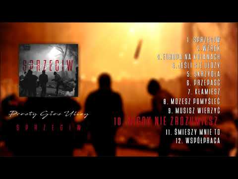 PGU - NIGDY NIE ZROZUMIESZ (SPRZECIW 2017)