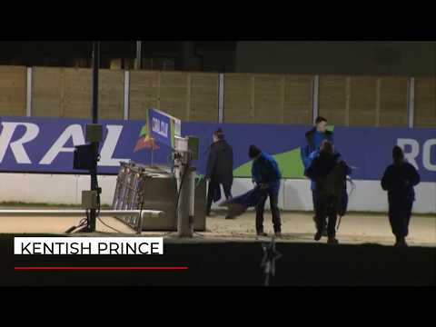 Kentish Prince - 2020 Coronation Cup Rnd 1 Heat 1