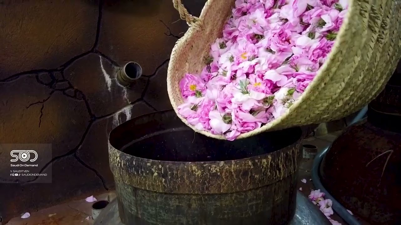 Report | Taif Rose – A Journey into Creations Made from the Taif Rose