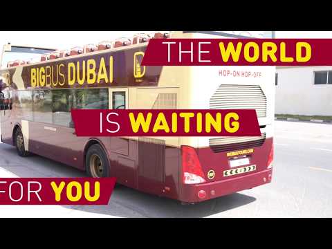 bus turistico miami