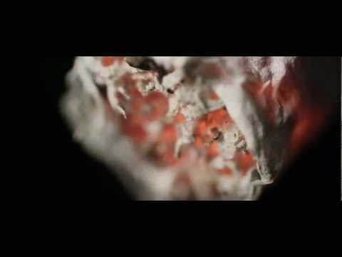 Kid Moxie - The Bailor [official music video]