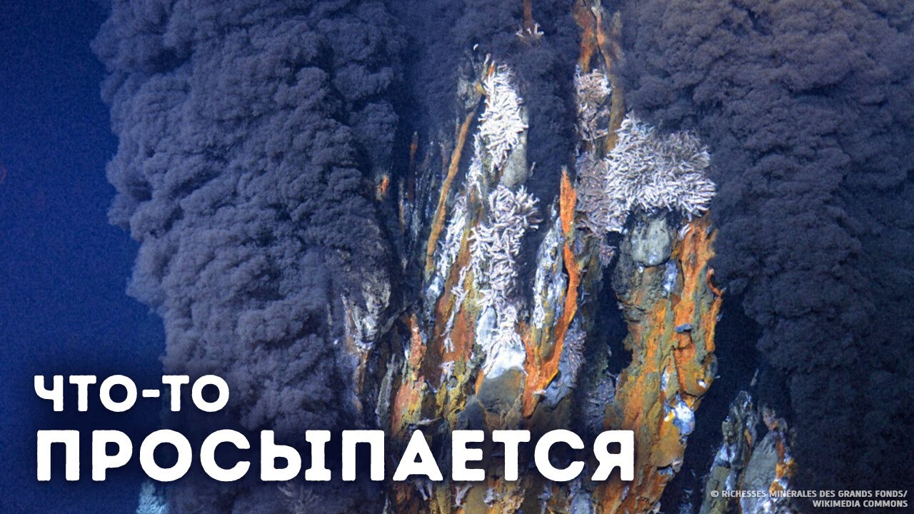 Почему Орегон - самый опасный штат США