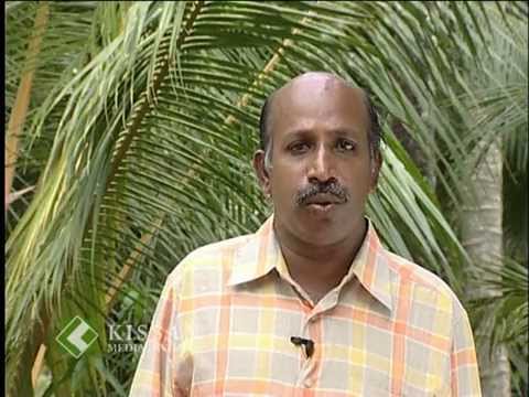 Different breeds of dogs and dog rearing : A feature