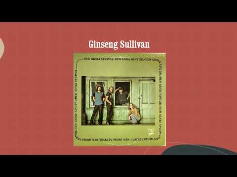 Ginseng Sullivan - New Grass Revival