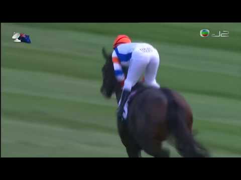 2017 CS Hayes Stakes G3 - Hey Doc (白袍醫者) - L.Currie