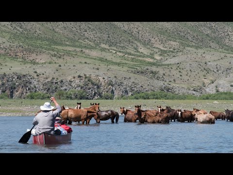 Orkhan river Mongolia Canoe trip 2018