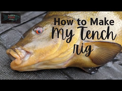 How to make my favourite Tench rig