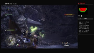 防具無しで上位のリオレイア亜種に挑戦二日目