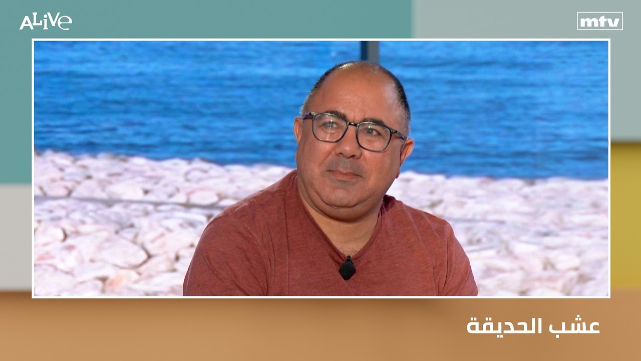 عشب الحديقة