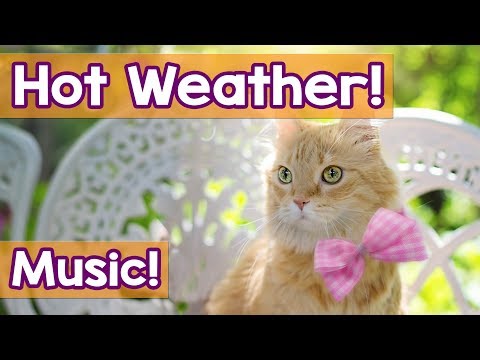 Cat Music: Music to Help Your Cat Deal with the Heat! Hot Weather Can Stress Cast, We Can Help!