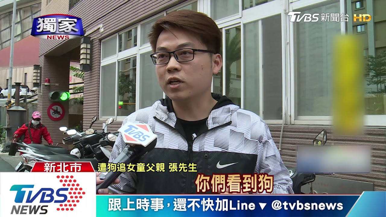 沒繫牽繩!鄰居狗突暴衝 4歲男童嚇躲跌傷