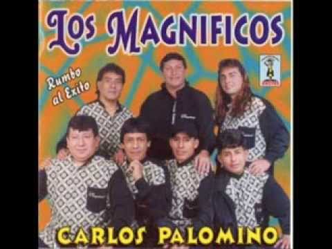 LOS MAGNIFICOS DE LA CUMBIA - CARLOS PALOMINO -ELLA VOLVIO - PRODUCCION 2013