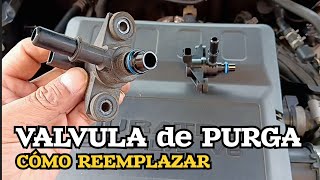 Cómo Cambiar la Válvula de Purga Ford Escape 2008-2012