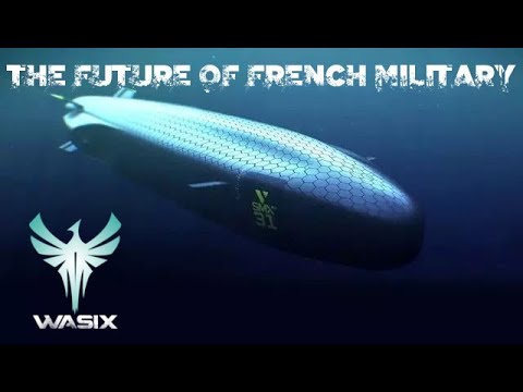 THE FUTURE OF THE FRENCH ARMED FORCES