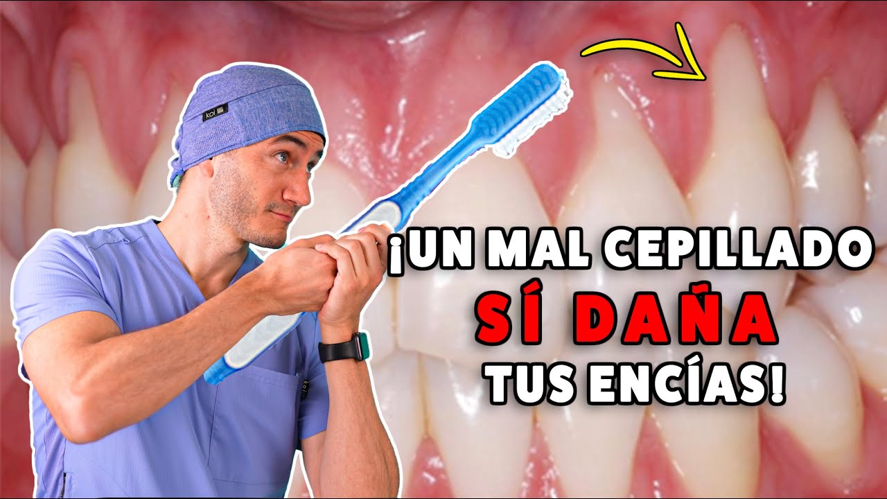 Llevas toda la vida guardando mal el cepillo de dientes: así es como debes  hacerlo