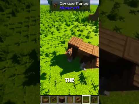 Deadly Java Assassin's Insane Minecraft Door Trick!
