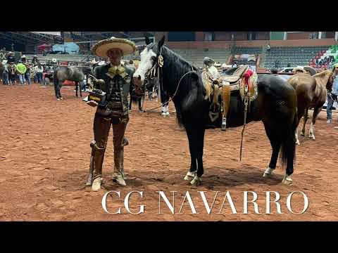 CG NAVARRO PRIMER LUGAR DEL CALADERO CECH PACHUCA MONTADO POR CUCO RAYA