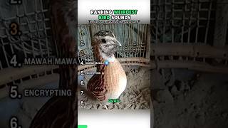 Download lagu Top Weirdest Bird Sounds #shorts mp3