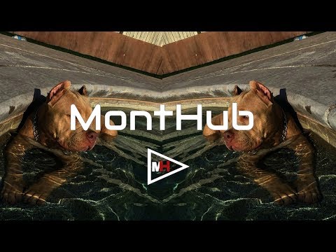 SaNni  Пароход