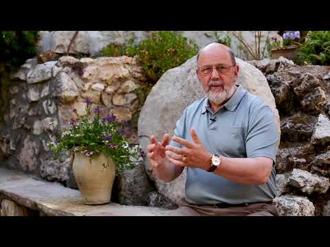 Why Does Resurrection Matter? (N. T. Wright Q&A)