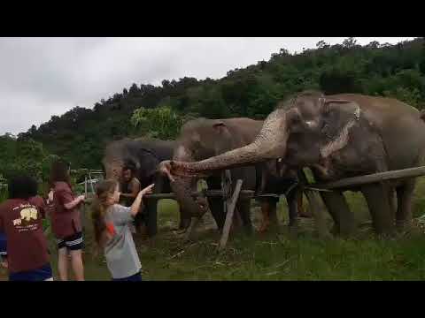 On the road around Chiang Mai