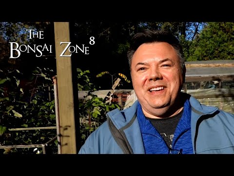 A Visit From Blue Jay Bonsai, The Bonsai Zone, Oct 2021