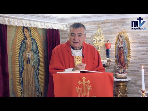 Acepta el Sacrificio de Confiar | Homilía, Memoria de Santa Lucía, Virgen y Mártir (13-12-25) | P. Santiago Martín, FM