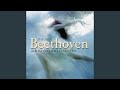 Symphony No. 1 In C Major, Op. 21: I. Adagio molto - Allegro con brio