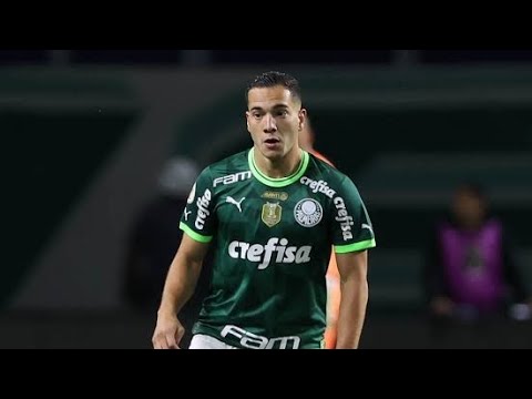 ÚNICO GOL DE FABINHO PELO PALMEIRAS