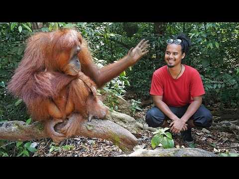 One of the Funniest Animal Videos Ever! 😂 NEW Funny Animals Video