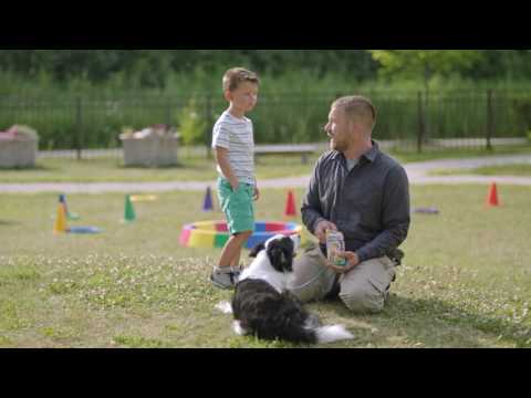 ABCDogs | Perfect Smile PEDIGREE® AlmapBBDO