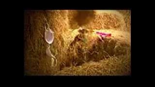 conal gallen - rolling in the hay
