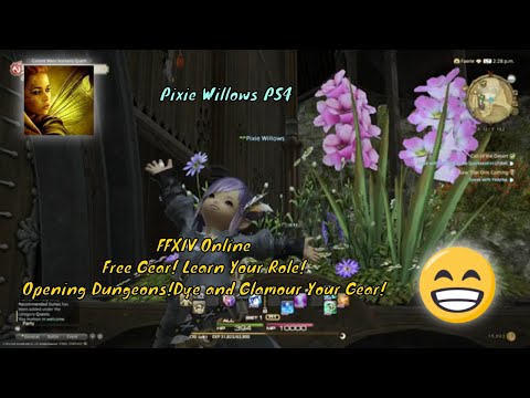 Final Fantasy XIV Online Guide Get Free New Adventurer Gear Learning Your Role and Opening Dungeons