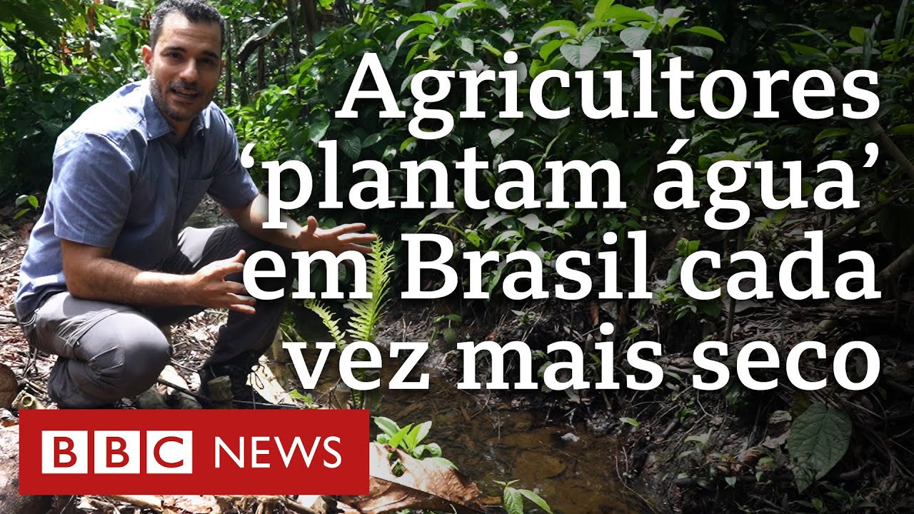 Agricultores transformam deserto em floresta no Semiárido brasileiro