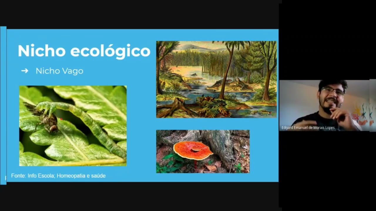 Ecologia   habitat, nicho ecológico, sucessão ecológica