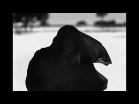 Dezeta & Soul Air - Levantando El Velo