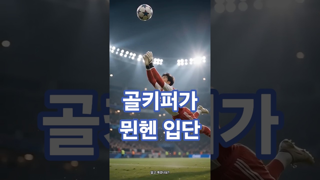 "특급 소식 한국 골키퍼 분데스 리가 뮌헨 입단"
