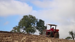 Miniatura do vídeo