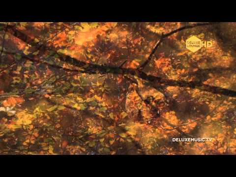 Martin Kratzenstein - Suite For Piano, Bass And Orchestra