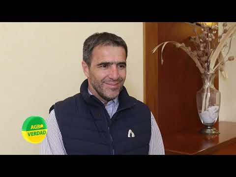 Nueva planta de acopio de granos sobre la Autopista Córdoba-Rosario, en Bell Ville