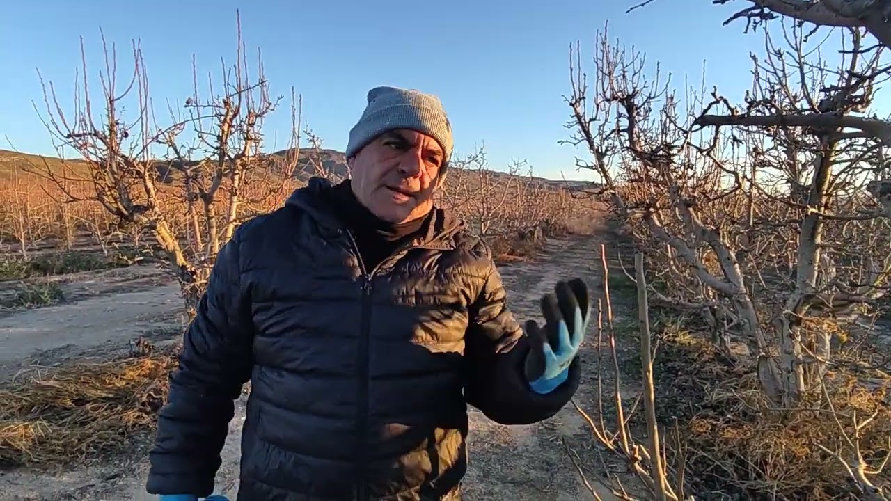 Watch Poda del peral Now Poda del peral