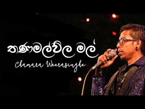 Thanamalwila Mal Pipunath - Chamara Weerasinghe | Best Of Chamara Weerasinghe