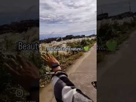 Show ,#y💚ur L💚ve 4 nature 💚#