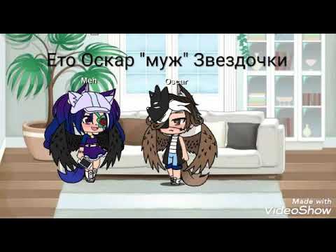 *-Новая команда-*