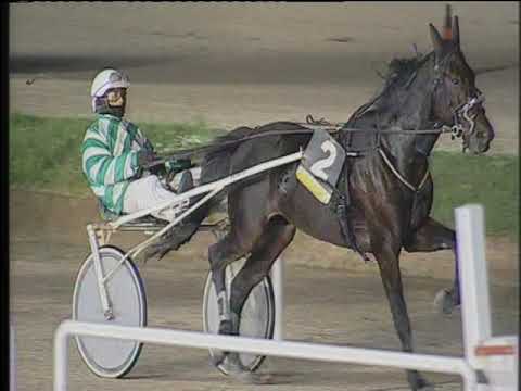 Trotto 03/11/2019 - 8ª corsa