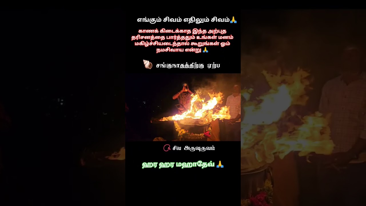 சங்குநாதத்திற்கு ஏற்ப தோன்றிய சிவ அருவுருவம்🙏#god#shorts#shiv#ytshorts#hindudeity #viral#trending#yt