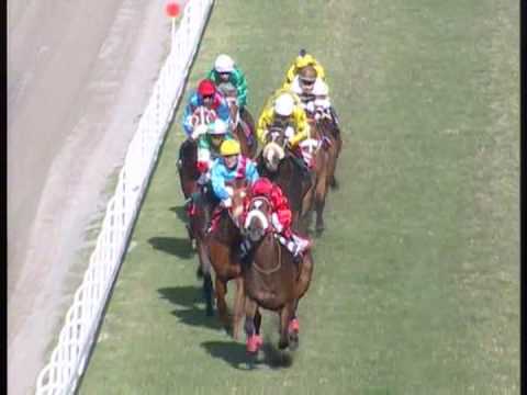 The Cardinal - Best 4 Year Old Champion - The Mauritius Turf Club