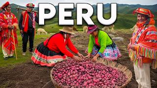 How the Incas Mastered the World's Highest Desert.